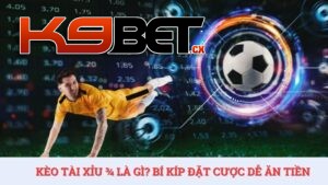 Kèo tài xỉu 3/4 là gì? Bí kíp đặt cược bóng đá dễ ăn tiền