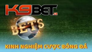 Chia sẻ kinh nghiệm cược bóng đá chuẩn xác cho người mới
